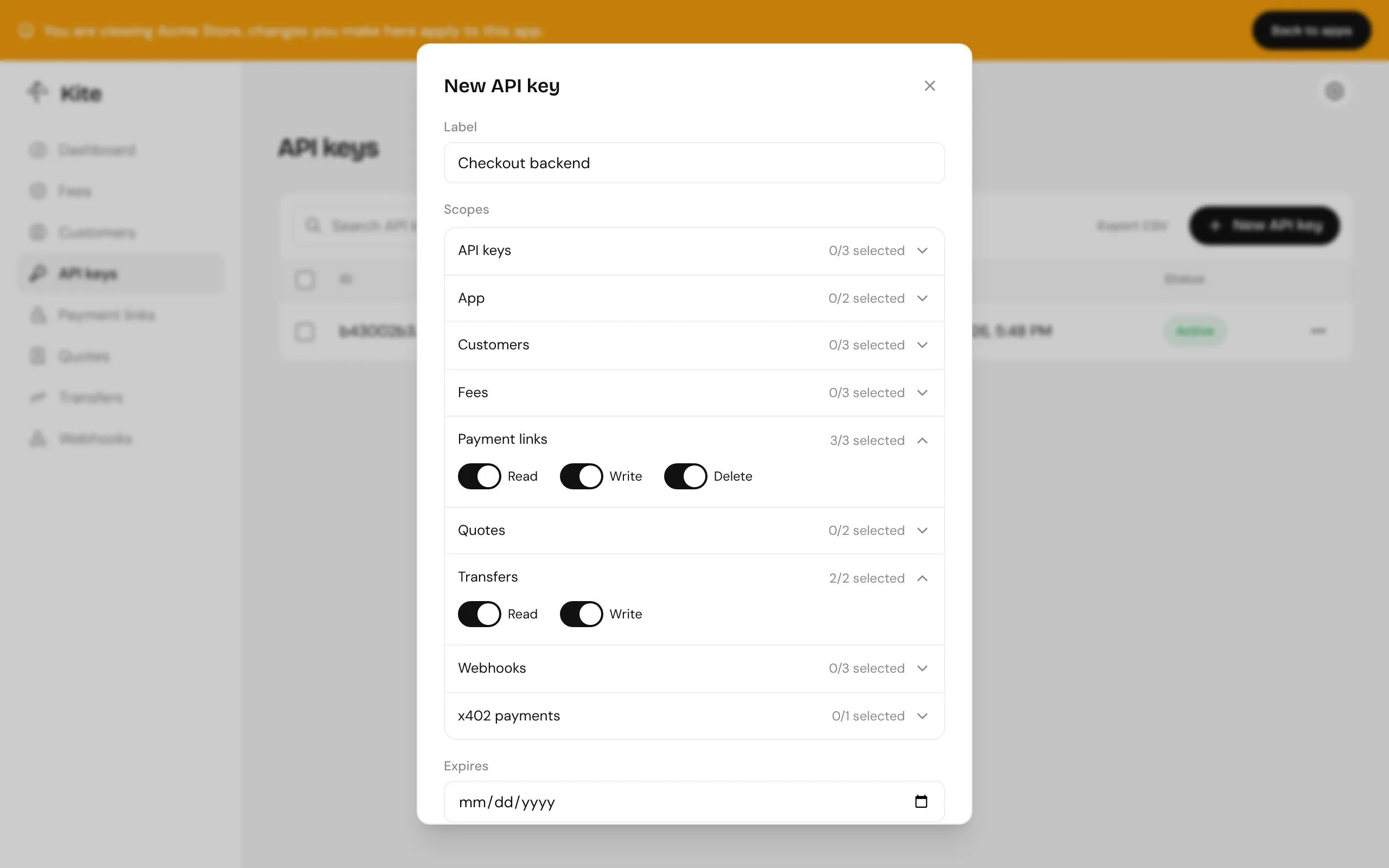 Creating an API key with a label and scopes for payment links and transfers